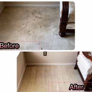Photo of Time To Shine Carpet Cleaning