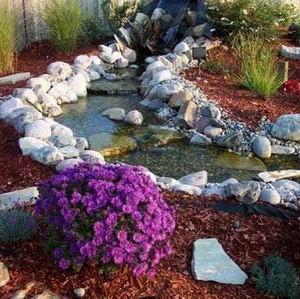 Photo of Champion Sprinklers & Landscaping