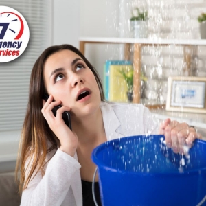 Photo of Global Plumbing FL