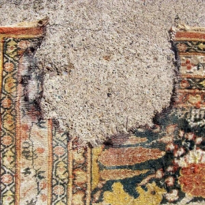 Photo of Shehady's Oriental Rugs