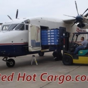 Photo of Red Hot Cargo