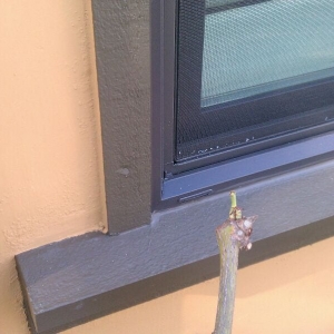 Photo of Custom Exteriors