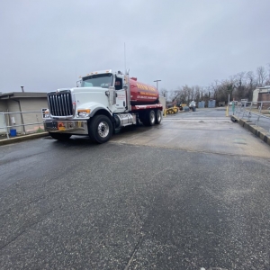 Photo of Flush King