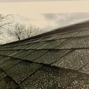 Photo of The Happy Roof Company