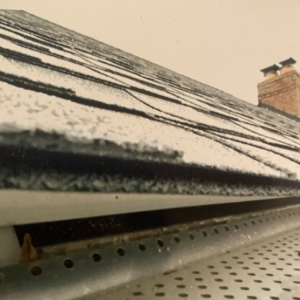 Photo of The Happy Roof Company