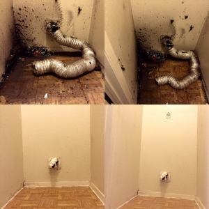 Photo of Mighty Cleaning Crew
