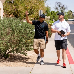 Phoenix Stay Green Solar