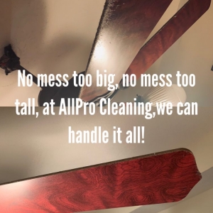 Photo of Eliteness Cleaning Maid Service of Jackson