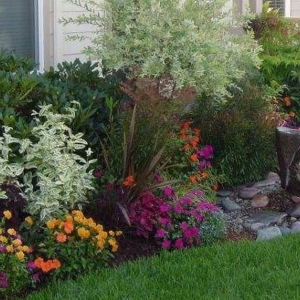 Photo of South FL Eco-Friendly Landscapes