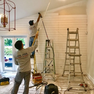 Photo of JCD PRO painting