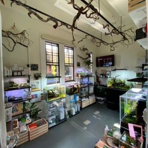 Photo of Hakkai - Aquascape Design Gallery