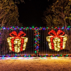 Photo of Holiday Lighting Specialists