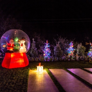 Photo of Holiday Lighting Specialists