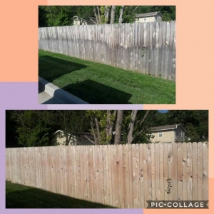 Photo of Rogue Property Services