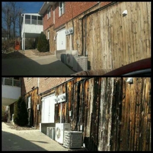 Photo of Rogue Property Services