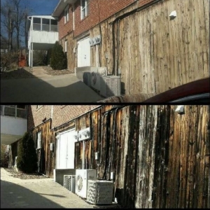 Photo of Rogue Property Services