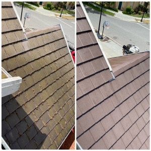 Photo of 99 Dollar Emergency Gutter Cleaners