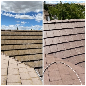 Photo of 99 Dollar Emergency Gutter Cleaners