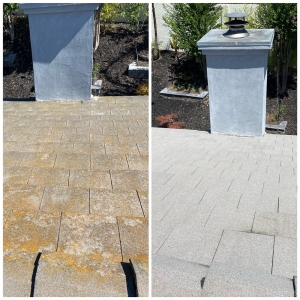 Photo of 99 Dollar Emergency Gutter Cleaners