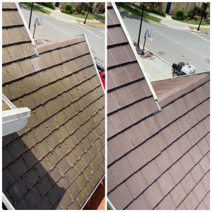 Photo of 99 Dollar Emergency Gutter Cleaners