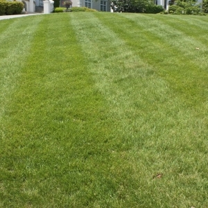 Photo of Turf Managers