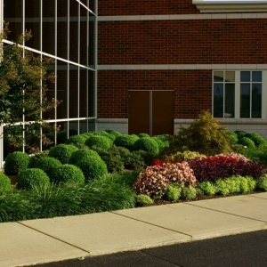 Photo of Turf Managers