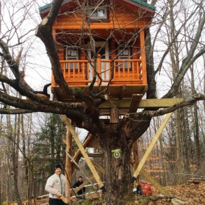 Photo of Wayside Lawn Structures