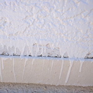 Photo of Jack the Roofer