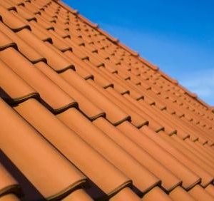 Photo of Jack the Roofer