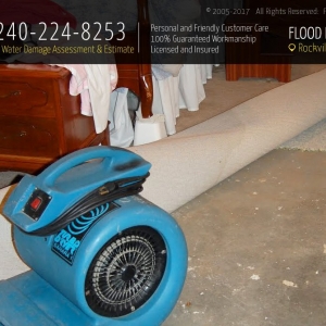 Photo of Flood Damage Pro