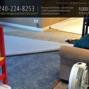 Photo of Flood Damage Pro