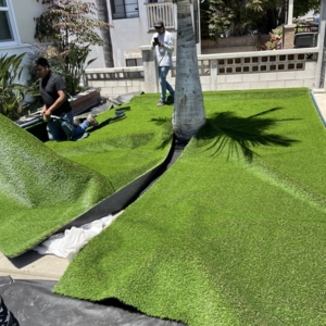 Photo of Mando Scapes