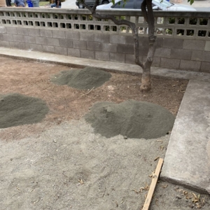 Photo of Mando Scapes