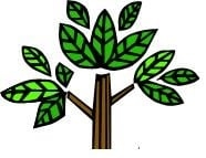 Photo of Green Environments