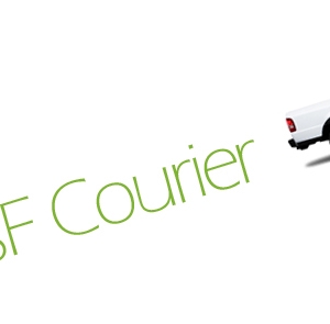 Photo of Sonic SF Courier