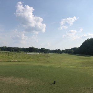 Photo of Mirimichi Golf Course