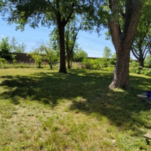 Photo of 20/20 Lawn Care