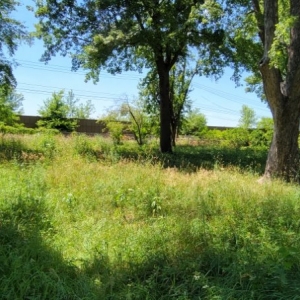 Photo of 20/20 Lawn Care