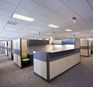 Renton Blue Diamond Cleaning Services