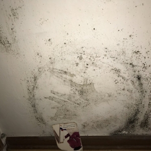 Photo of Attic Projects