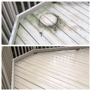 Photo of Carolina Power Washing