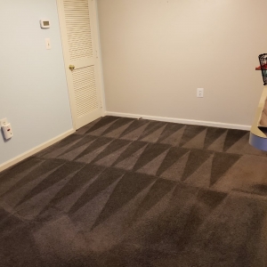 Photo of Kassel Cleaning
