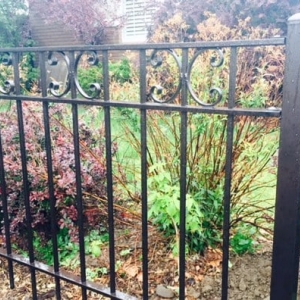 Photo of Wasatch Front Fence