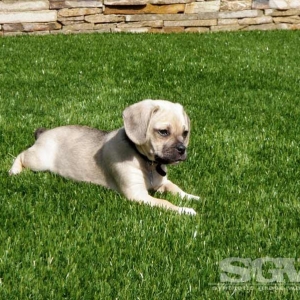 Photo of Synthetic Grass Warehouse
