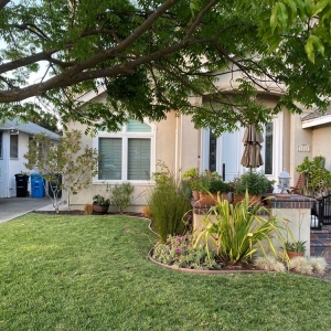Photo of Rodriguez Tree Service