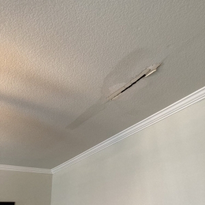 Photo of Haynes Drywall Finishing