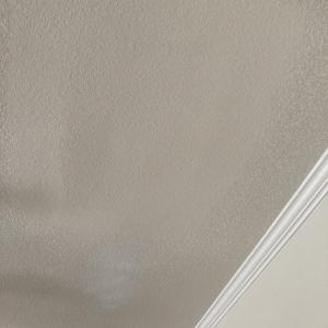 Photo of Haynes Drywall Finishing