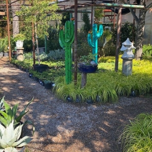 Photo of Guardado Garden Center