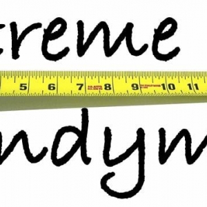 Photo of Extreme Handyman