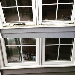 Photo of Window Gurus